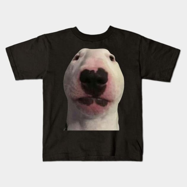 Staring Forward Dog Meme Kids T-Shirt by artsylab